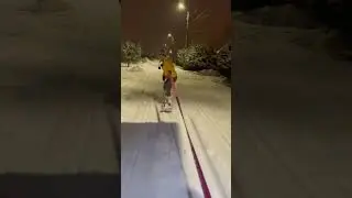Нашли применение Honda Stepwgn 😂🏂 #hondastepwgn #hondastepwagonspada