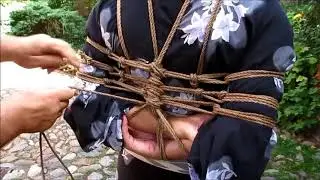 8 4 2 Hojo hishi version with the braids only the upper part of the torso