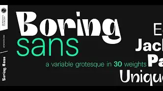 Boring Sans - Sans Serif Font Family