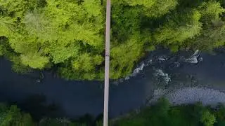 Grandeur of Nature - Capilano Suspension Bridge Park