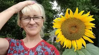 Живём в селе!Томат!Показываю погреб!Стройка в ванной!Шаурма!