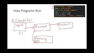 Programming Basics: Input, Processing, Output and Memory