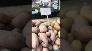 СКОЛЬКО СТОЯТ ПРОДУКТЫ НА РЫНКЕ И В МАГАЗИНАХ БЕЛГРАДА? В Москве дороже?