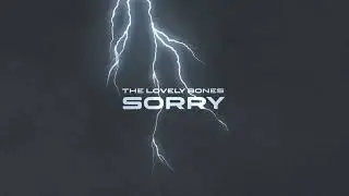 The Lovely Bones - SORRY