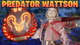 What an Apex Predator Wattson Looks Like