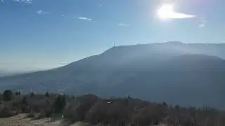 За шишарки в планината