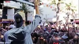 Avicii - Levels (Summer 2012 Radio Mix)