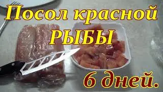 Проверенный рецепт посола Красной рыбы . Кета Малосольная .