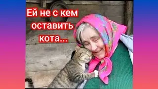Ей не с кем оставить кота... Душевное стихотворение😻