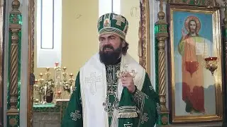 О единстве