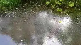 ПОКАЯНИЕ ДУШИ