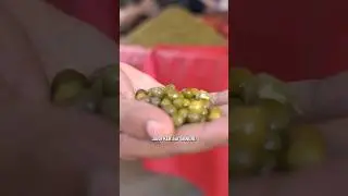 Things to eat in Bikaner | Part 6/10