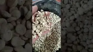 Petfood ekstruder