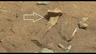 Human Bone like object found on Mars