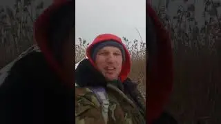 Нашёл дворец Бобра 