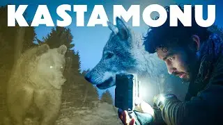 EXPLORING KASTAMONU WILD NATURE