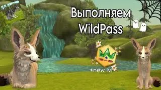 💗Выполняем задания WildPass💗
