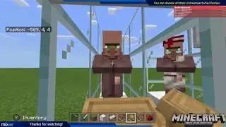 Villager Breeder and Trading Hall