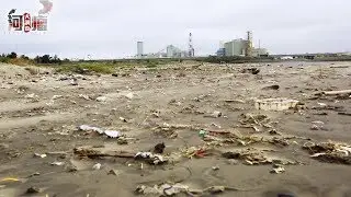 30年沒看過一條魚！直擊桃園河川污染
