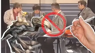 Czy można dokarmiać ścierwojady? (reupload)