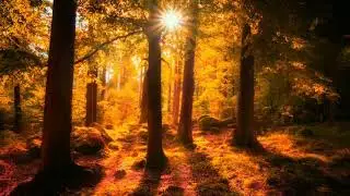 SUN RAYS AND CLOUDS BACKGROUNDS FREE ANIMATED GREEN SCREEN BACKGROUNDS
