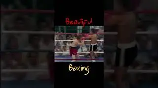 BEAUTIFUL BOXING BY SALVADOR SÁNCHEZ
