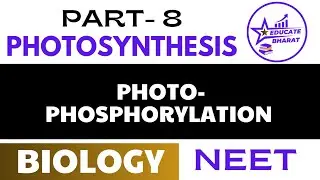 Photo-Phosphorylation |Photosynthesis | Part 8 | Saumya Maurya | Neet