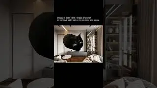 meme 