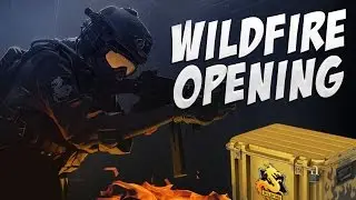 CS:GO - The Wildfire Case Opening #3