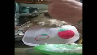 Надоела ,эта творожная диета!