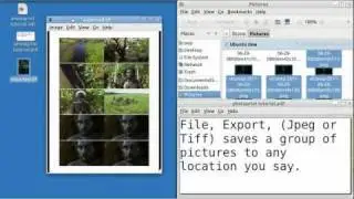 Ubuntu Basics (PHOTOPRINT TUTORIAL)