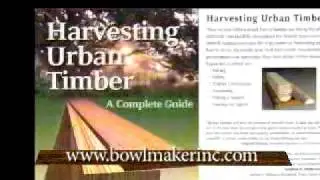 Mike Mahoney on utilizing a chainsaw for wood turning