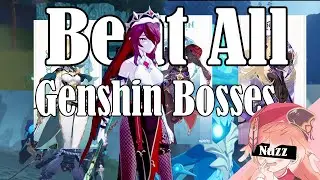 [Genshin Impact] I tried to beat every bosses in genshin with my personal team