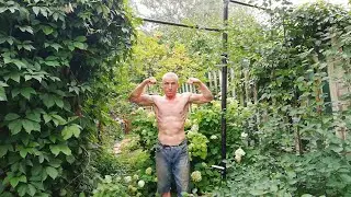 Вис на одной руке