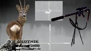 8 косуль на поле. Выстрел на 250м ночью!