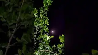 tere pyaar ki tamnna gam e zindagi ki saaye
