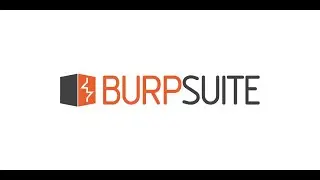 How use burp suite like a pro.