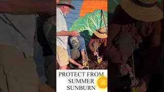 Protect Your Spring Plantings From Summer Sunburn #IVOrganic
