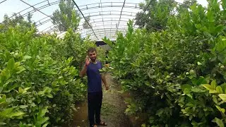 лиманарни дар нохияи фархор