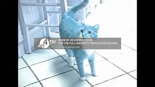 (RQ) Shortest Video on YouTube Part 4 Effects (Inspired By SF1 Ident 2005 Effects)