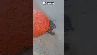 Поехали на инвалидной коляске 