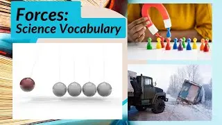 12 Science Words about FORCES for 3rd Graders