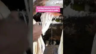 This company is turning waste from banana plants into menstrual pads. #Banana #India #Sustainability