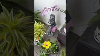 Garden 🪴 