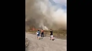 Горит  поле в Караганде #shorts