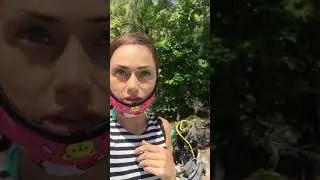 Мы выращиваем кораллы на Филиппинах!