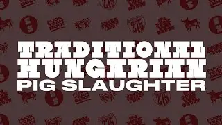 Traditional Hungarian Pig Slaughter