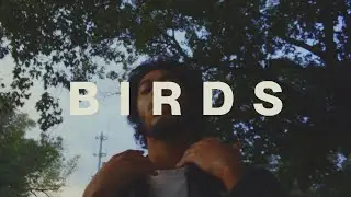 BIRDS (MUSIC VIDEO)