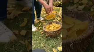 Natural #funny #reelsviral