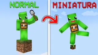 Minecraft Dar Este un BLOC in MINIATURA !